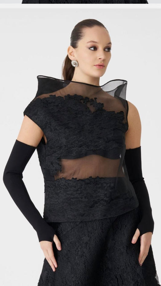 Black Sheer Lace Sculptural Top