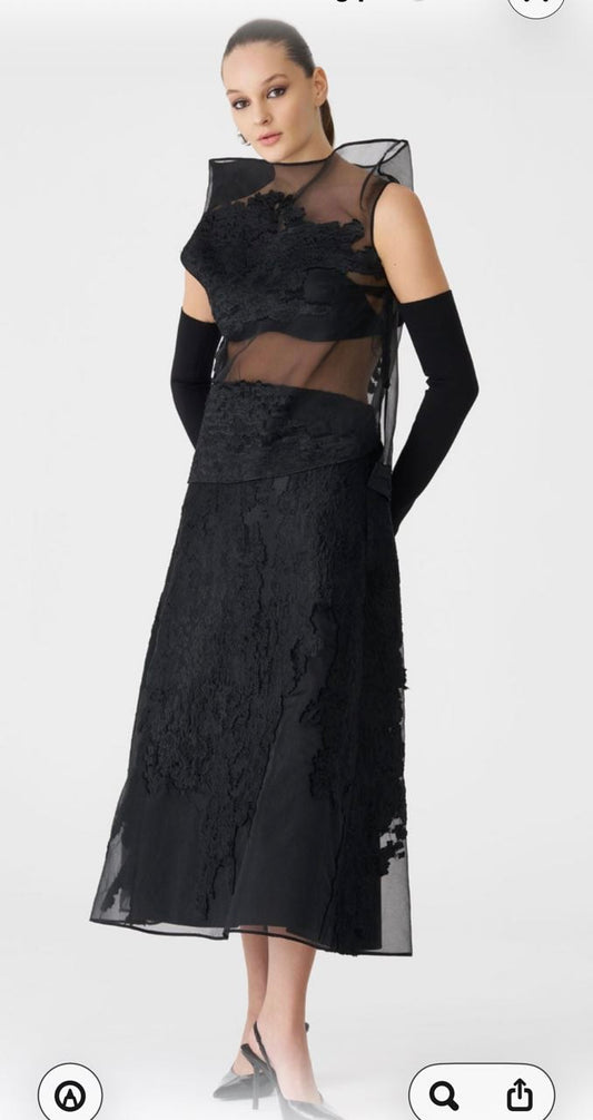 Black Sheer Lace Midi Skirt